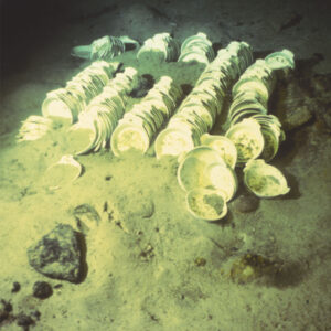 augratin dishes from the Titanic found on the ocean floor